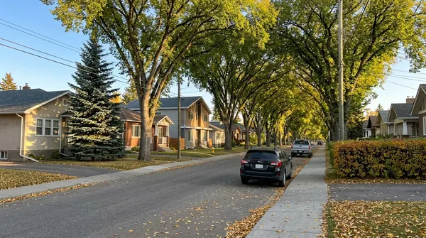 Chinook Tree Trimming arborist in Calgary